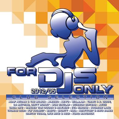 One Day / Reckoning Song - Wankelmut Remix
