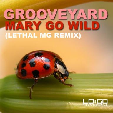 Mary Go Wild! - Ron Van Den Beuken Remix Edit