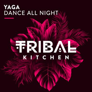 Dance All Night - Original Mix