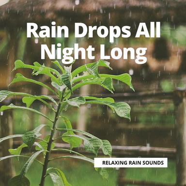 Rain Mood