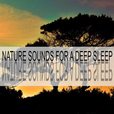 Nature Sounds for a Deep Sleep