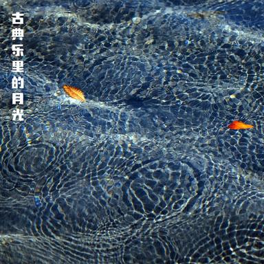 古典乐里的月光