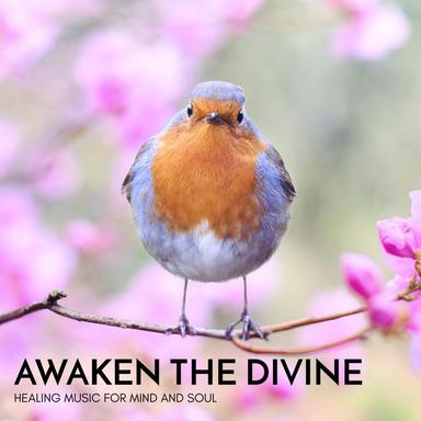 Celestial Brainwaves