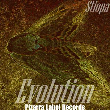 Evolution