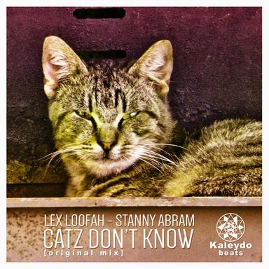 Catz Don't Know - Original Mix