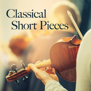 Serenade No. 2 in A Major, Op. 16: III. Adagio non troppo