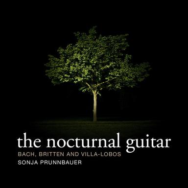 Five Preludes for Solo Guitar, W 419: Prelude No. 1 in E Minor: Andantino espressivo