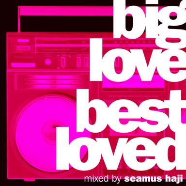 Big Love: Best Loved (Mixed by Seamus Haji)