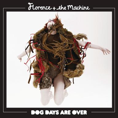 Dog Days Are Over - Steve Pitron & Max Sanna Remix