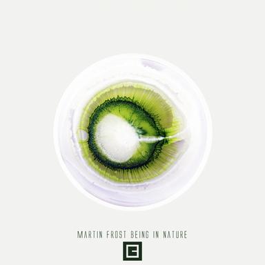 Rejuvenation - Original Mix