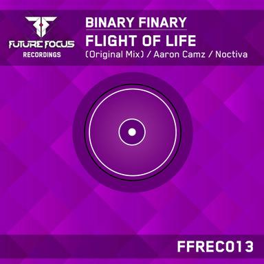 Flight Of Life - Original Mix