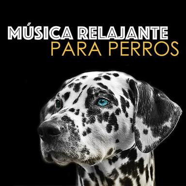 Musicoterapia