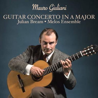 Guitar Concerto No. 1 in A Major, Op. 30: I. Allegro maestoso