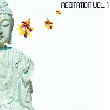 Meditation, Vol. 1