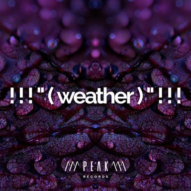 Morning Forest Showers