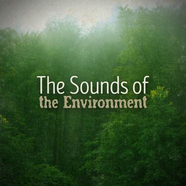 The Sounds of the Environment