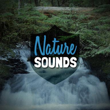 Nature Sounds