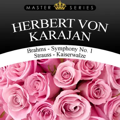 Symphony No. 1 In C Minor, Op. 68: Um Poco Allegro E Grazioso