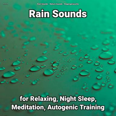 Rain Sound for Serene Sleep
