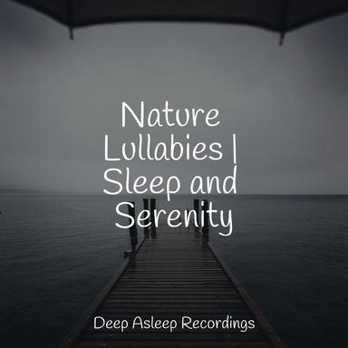Peaceful Pauses