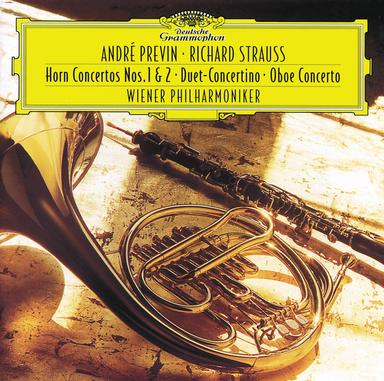 Horn Concerto No. 2 in E Flat Major, TrV. 283: III. Rondo (Allegro molto)