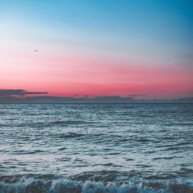 Peace of Calm