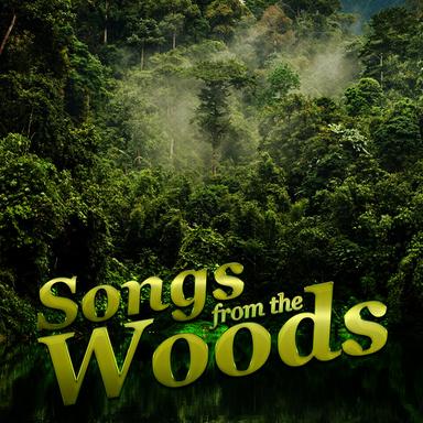Waters of the Woods