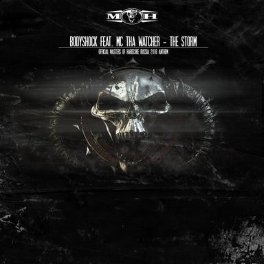 The Storm (Official Masters of Hardcore Russia 2016 Anthem) - Radio Edit