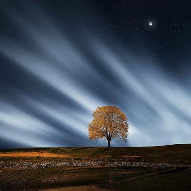 A Peaceful Place