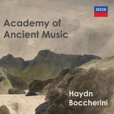 Symphony in D, H.I No. 24: 2. Adagio