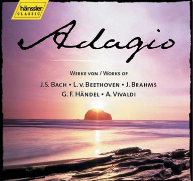 Ich steh mit einem Fuss im Grabe, BWV 156: Sinfonia