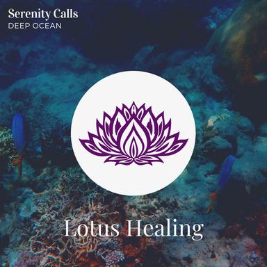 Nature's Lap - Original Mix