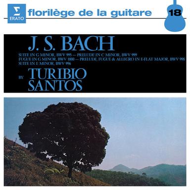 Bach: Prelude in C Minor, BWV 999 (Performed in D Minor)