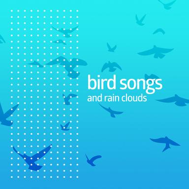 Blanket of Birds