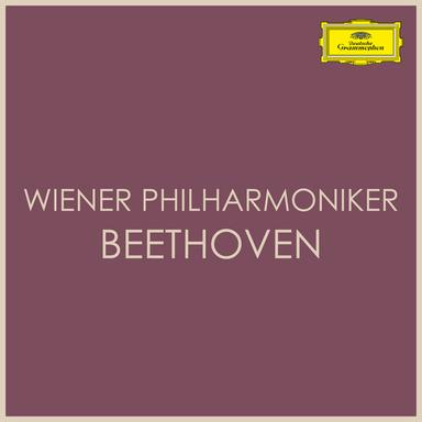 Symphony No. 1 in C Major, Op. 21: III. Menuetto (Allegro molto e vivace) - Live