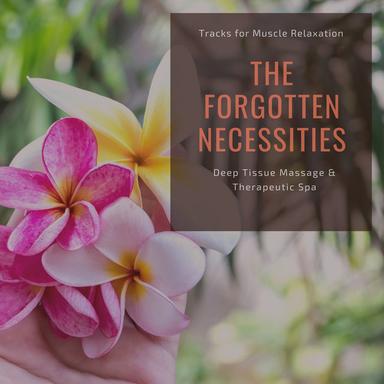 Absorbing From The Ground - Original Mix