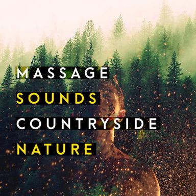 Gentle Stream with Birds