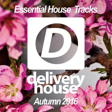 Essential House Tracks (Autumn 2016)