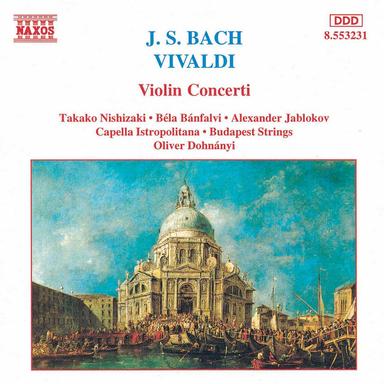 Violin Concerto in C Major, Op. 8, No. 6, RV 180, "Il piacere": II. Largo e cantabile