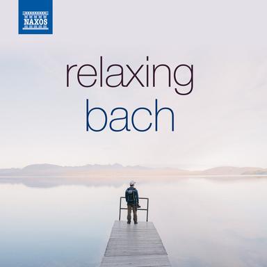 Brandenburg Concerto No. 5 in D Major, Bwv 1050: Ii. Affettuoso