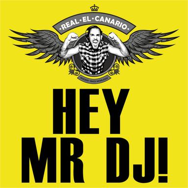 Hey Mr DJ - Original Mix