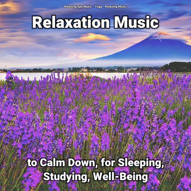Calming Music for Your Brain