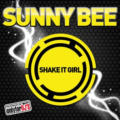 Shake It Girl - Benjamin Braxton Radio Edit