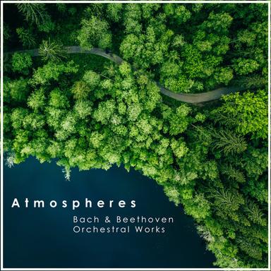 Concerto for Keyboard, Strings, and Basso continuo No. 3 in D, BWV 1054: 3. Allegro