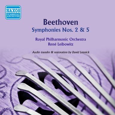 Symphony No. 2 in D Major, Op. 36: II. Larghetto