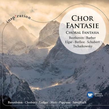 Beethoven: Symphony No. 9 in D Minor, Op. 125 "Choral": IV. Presto "O Freunde, nicht diese Töne!" (Excerpt)