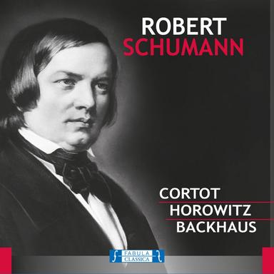 Carnaval, Op. 9: XIX. Aveu