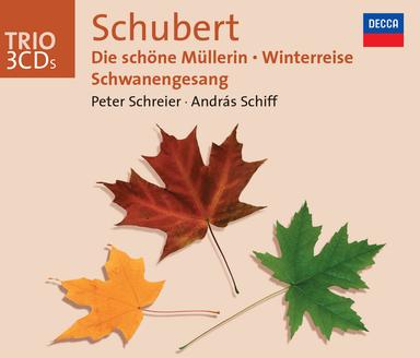 Am Fenster, D.878, Op. 105, No. 3