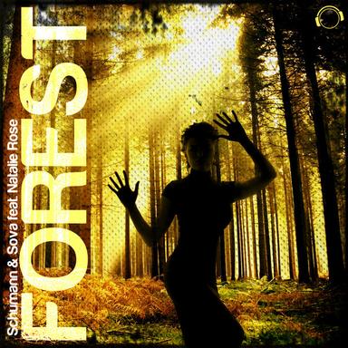 Forest - The Won Theory Remix Edit