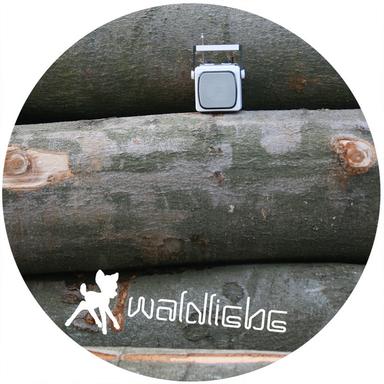 El Gitarro - M.in Remix